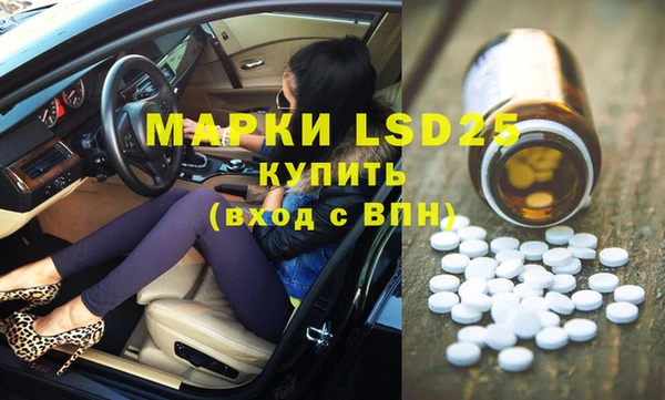 шишки Алзамай