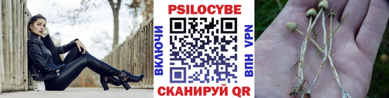 Псилоцибиновые грибы мухоморы Алзамай