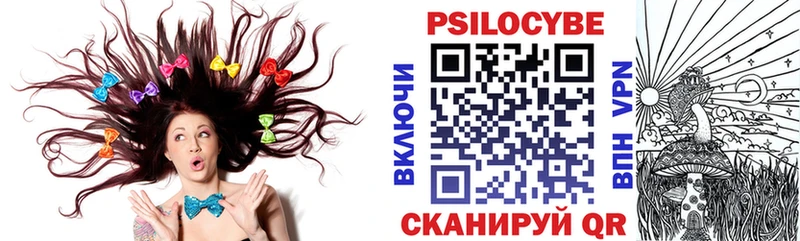 закладка Алзамай Псилоцибиновые грибы мицелий